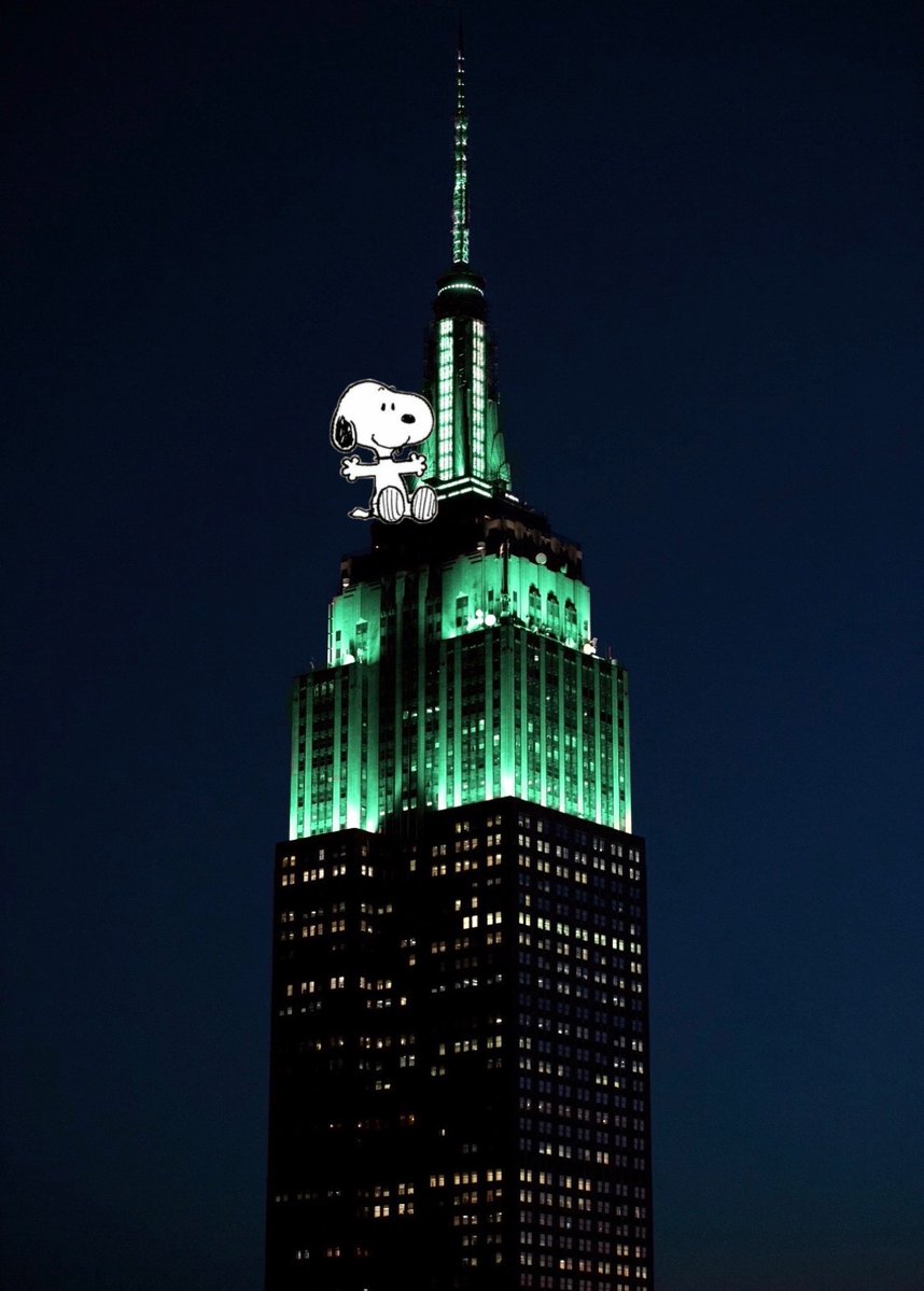 taysnoopys's tweet photo. 👀💚🌃 https://t.co/FukYF7BzBI