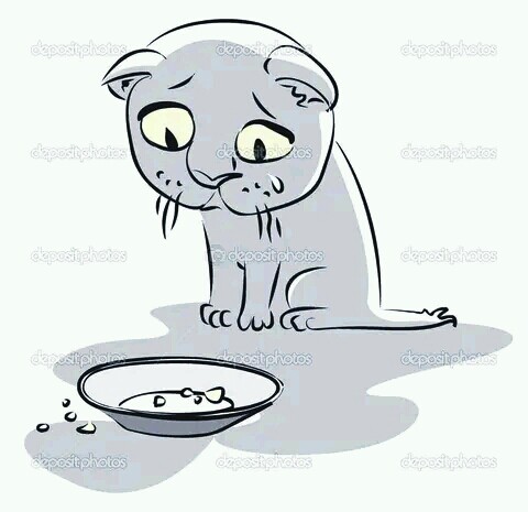 ManadaMiaucito's tweet photo. Solicitamos de su ayuda para la compra de alimento para la manada, tanto la de Ciudad Ojeda como la de Maracaibo. El gasto en medicinas me descalabró el presupuesto y, aunque intenté sostenerme con lo que tenia, al final me quedé sin recursos.

Ayuda para ellos por favor 🙏 https://t.co/Y1jJq8P6o9