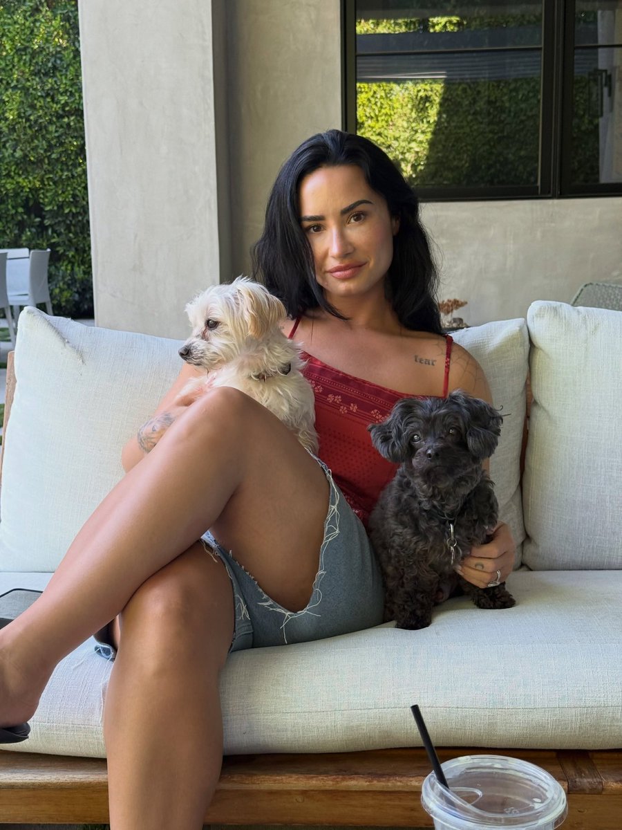 demilovatobr's tweet photo. “Antes que alguém diga justiça pela Ella... ela odeia a câmera, estamos apenas respeitando os limites dela. Obrigado”. 😹

📸 Jutes, marido de Demi Lovato, desejando feliz aniversário para a cantora e compartilhando fotos dela com seus cachorros. https://t.co/0gnVDJUHYe