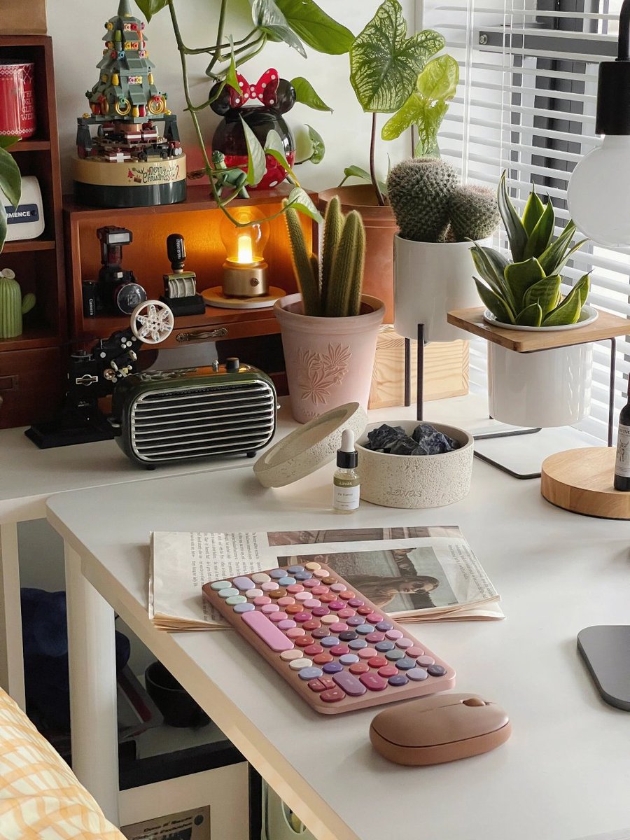 Crystal88310432's tweet photo. My minimal desk setup: a small plant, wireless keyboard, and a mug of tea makes workdays calm u0026 productive. https://t.co/RugHhovNY8