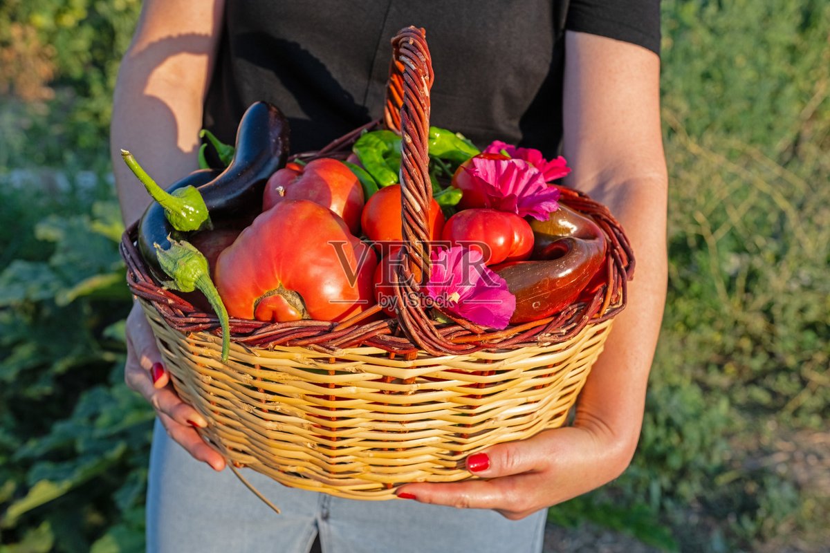 goodrockinguy's tweet photo. Just grabbed fresh seasonal organic veggies + locally sourced honey from the farmers market! Perfect for weekend meals and cozy tea. https://t.co/G4CuW3q4B8