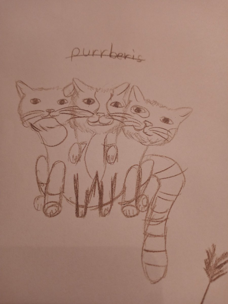 ragtime_rev's tweet photo. Purrberis https://t.co/IQffqXPRcK