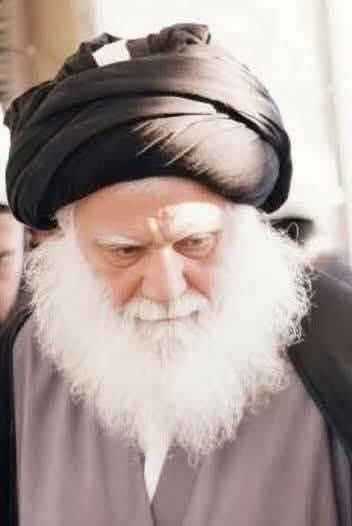jwhy50918's tweet photo. إنَّ البشريّة ما لم تمرّ بظروفٍ من الظلم والتمحيص هذه، وما لم تحصل نخبةٌ مُمحّصة الإيمان، قويّة الإرادة من البشر، لم يكن بالإمكان أن يحصل لها اليوم الموعود مهما طال الزمن.
الشهيد السعيد السيد محمد الصدر قدس سره 
تاريخ الغيبة الكبرى: 372-373.
#اسالكم_الفاتحه_والدعاء https://t.co/NcH07jMVaA