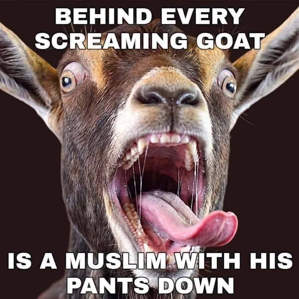 Sassafrass_84's tweet photo. So I am betting that if I was a citizen of the Uk I would probably be prosecuted for a meme. Since now you can get in trouble with social media posts. 

It’s still funny. Idc. 🤭 https://t.co/OcJ44sZbpG