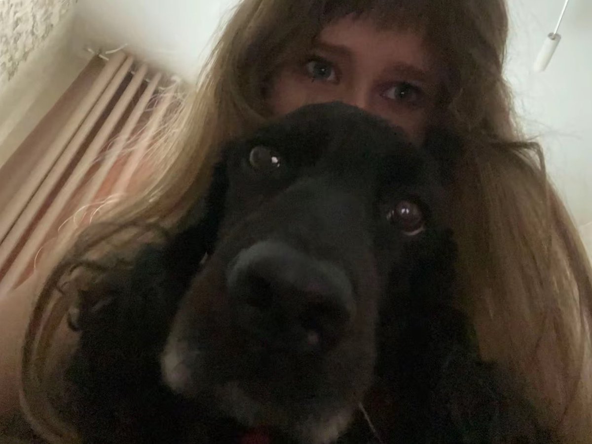 Olya9f2c's tweet photo. я очень люблю свою собаку, да и вообще всех животных
если у кого есть питомцы,то можете скинуть фото https://t.co/XQtIdyffEc