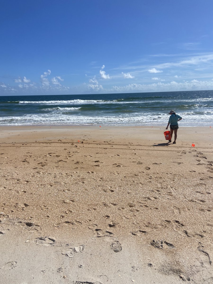 NOAADebris's tweet photo. How much marine debris is on our nation's shorelines, and how is it changing over time? The NOAA Marine Debris Monitoring and Assessment Project Nationwide Survey is helping answer these questions. Learn more: https://t.co/jQbrRsM6Xx https://t.co/rDPZx6exgc