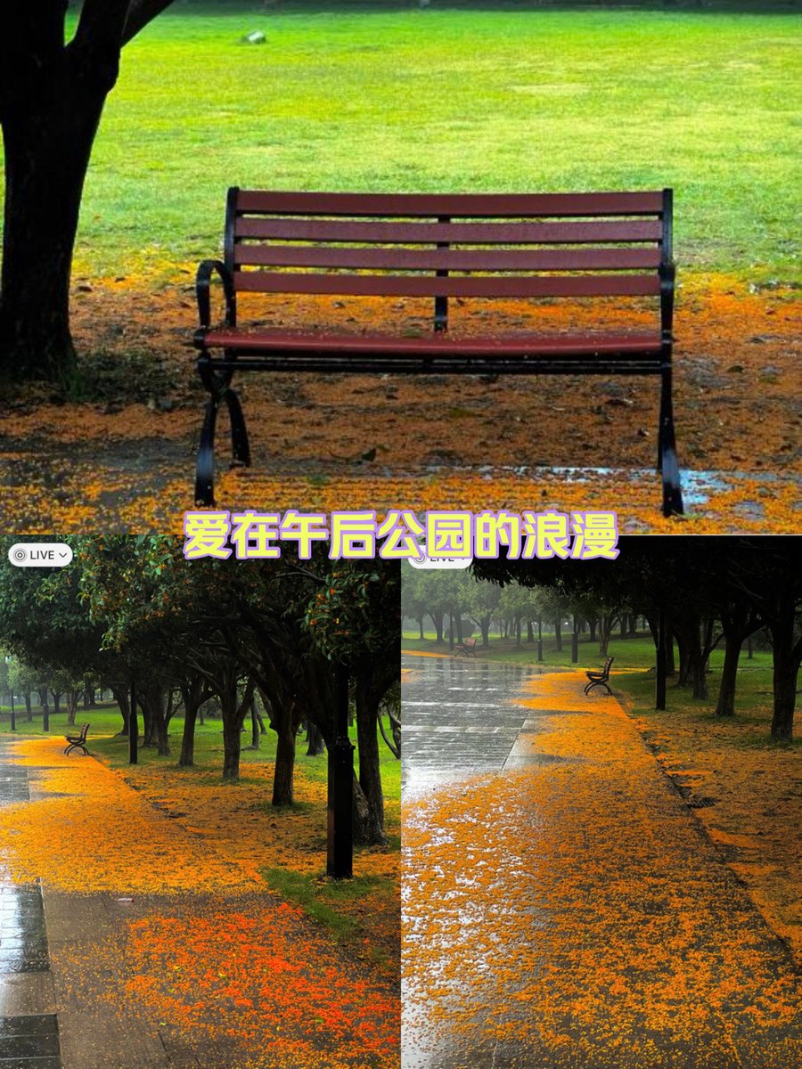 Hoppy3383744627's tweet photo. [Autumn breeze brings warm maple scents u0026 crisp apple cider—chasing golden leaves in the park after rain ]， https://t.co/c7yI9iCRsf
