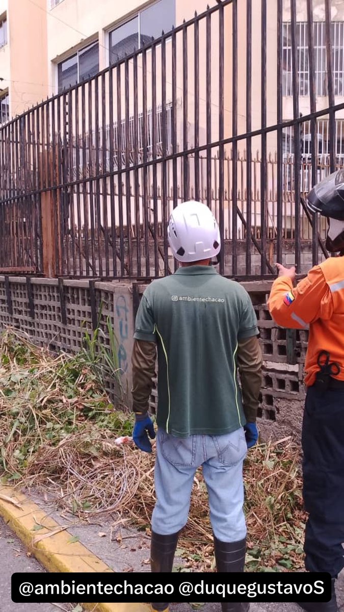AmbienteChacao's tweet photo. Supervisamos la limpieza y mantenimiento preventivo de las quebradas municipales, Sebucan y Qda. Seca con apoyo del desmalezamiento por parte  @chacao_obraspub Exhortamos a la comunidad a no arrojar desechos en ellas para evitar contratiempos en caso de lluvias. 
@duquegustavoS https://t.co/BxCzMU83Vu
