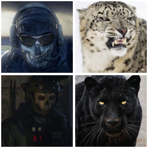 SchmittTampinha's tweet photo. Big cat 💀🐈‍⬛ https://t.co/P849dwkVUB