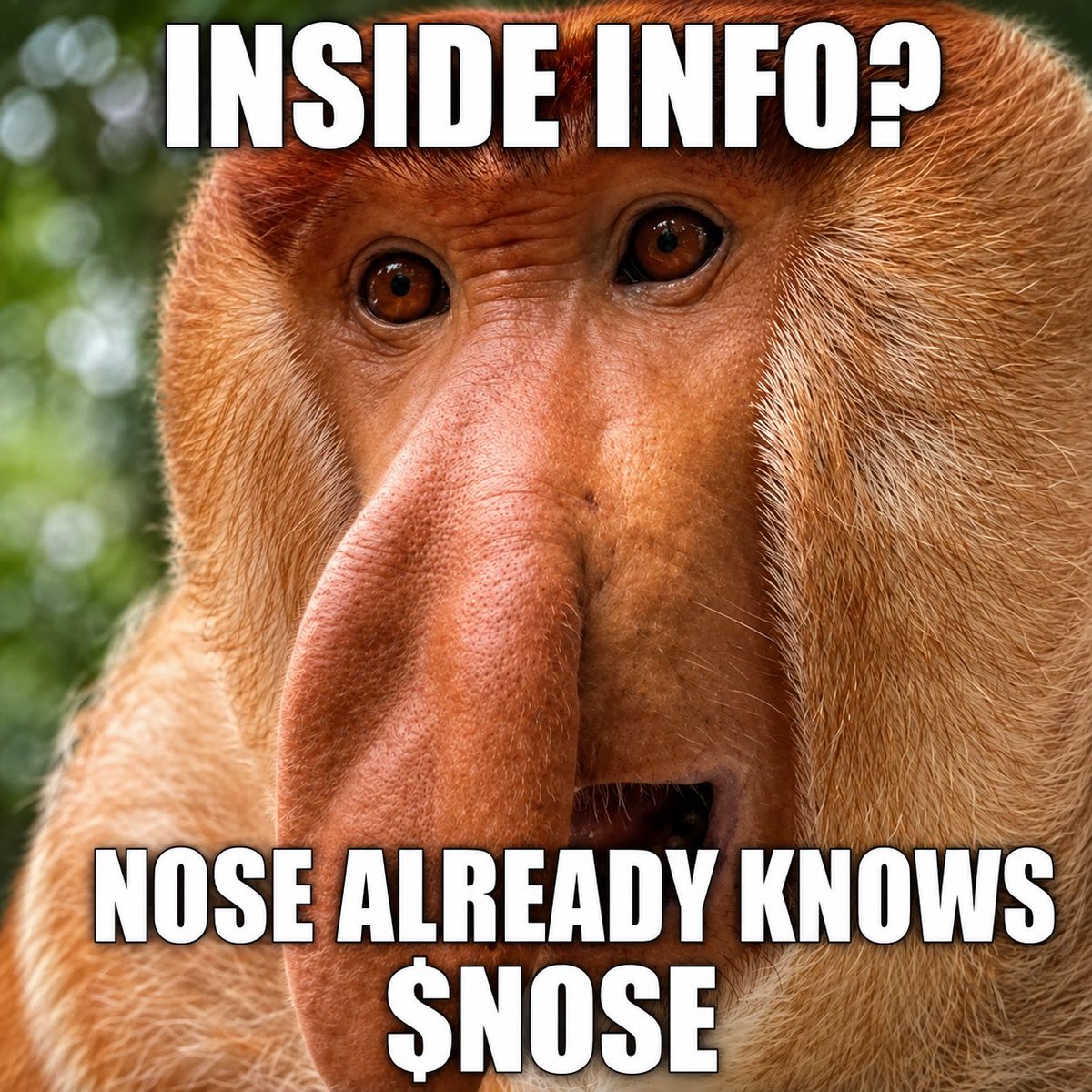 thenoseknows26's tweet photo. They call it inside info.
We call it smell. 👃 https://t.co/47CvQv1pLh