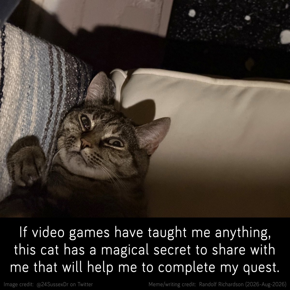 randolf828's tweet photo. Congratulations, @24SussexDr; your cat is now featured in a meme about MMORPGs!
(The first one, which was made by someone else, inspired me to make more -- your cat is the third in this series, after @MeyerWidmer's cat.)
#mmorpg #dnd #quest #cats #gaming #teleport #magic #games https://t.co/ug9iOtxHLd