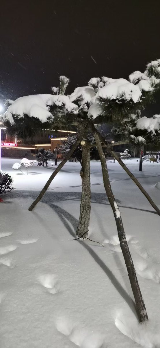 xch4nelx's tweet photo. The first snow of the year just landed, wrapping the city in soft white glow—cozy vibes only here, holiday season hits different! https://t.co/fJor3zVeKx