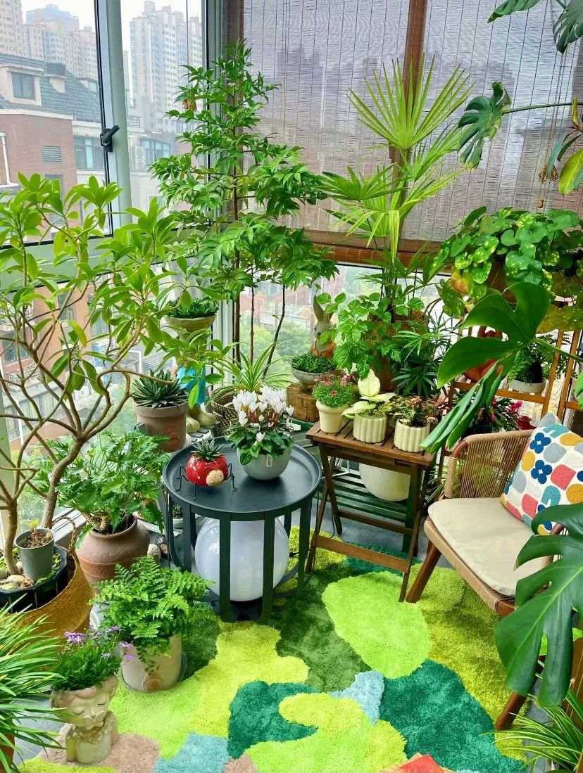 Karinar64889149's tweet photo. Houseplant care tip: Rotate your pots weekly for even growth u0026 prevent leaning toward light. https://t.co/l4dzFETvfh