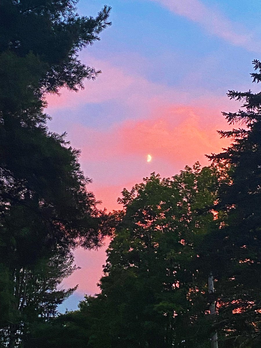 jordan_quackers's tweet photo. The sunset last night was gorgeous. My favorite, cotton candy skies😊🩶.

#sunset #photography #moon #pinksky https://t.co/1L0nRUZVzW