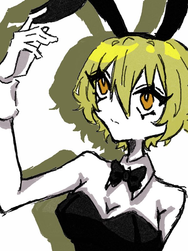 tadanoisi0301's tweet photo. バニードンキ https://t.co/rqPyXXghYJ