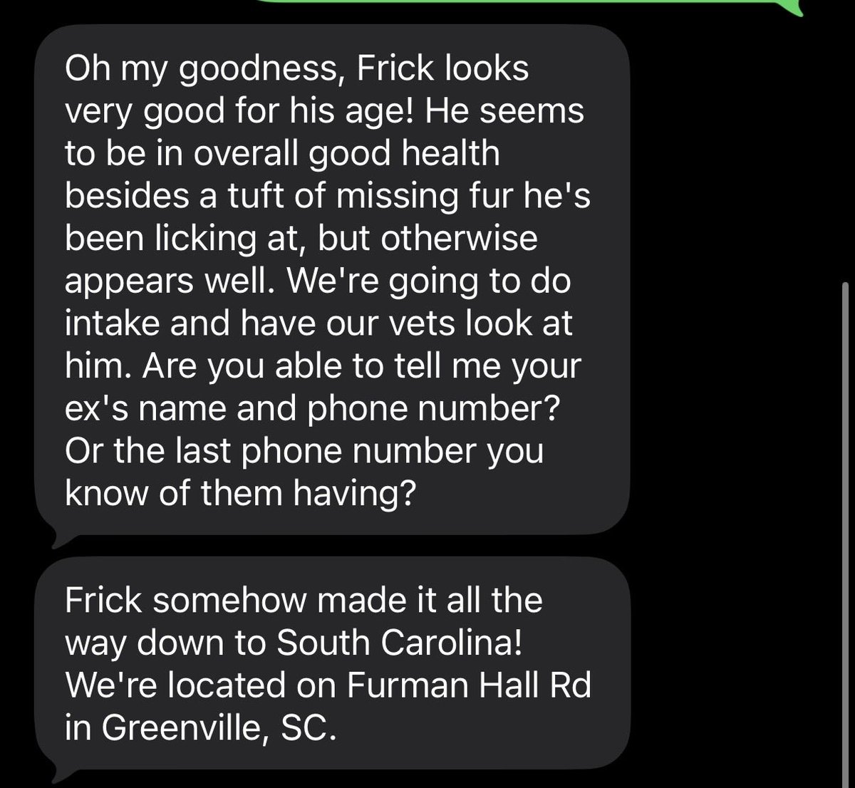 vivivillain_'s tweet photo. omg blast from the past. I feel awful, but Austin and I are both deathly allergic to cats. Is anyone in the Greenville, SC area able to adopt this sweet old baby? https://t.co/xqK7bSXbGl