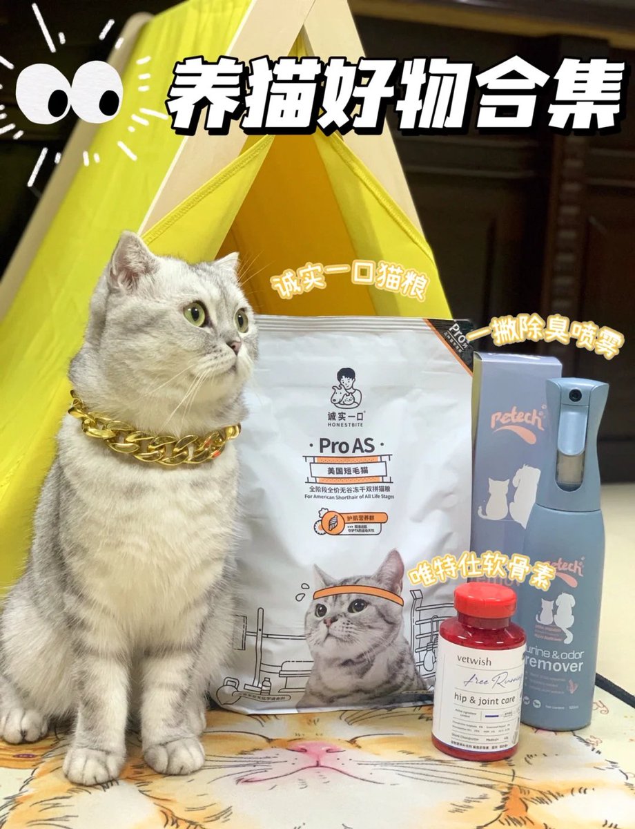 ce_th44517's tweet photo. Just realized my coworker’s 3rd "emergency coffee run" this week was actually a secret mission to feed the office’s hidden cat colony next door. Turned a chaotic Monday into the cutest office secret ever https://t.co/xlZ57lpuSw
