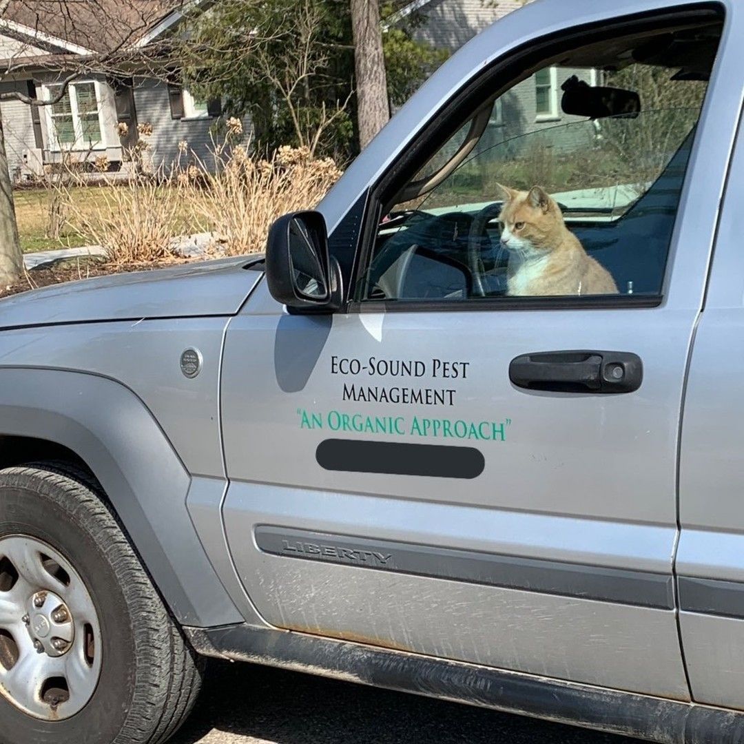 CatWorkers's tweet photo. He gets the job done. https://t.co/Uw7qdjKiE9