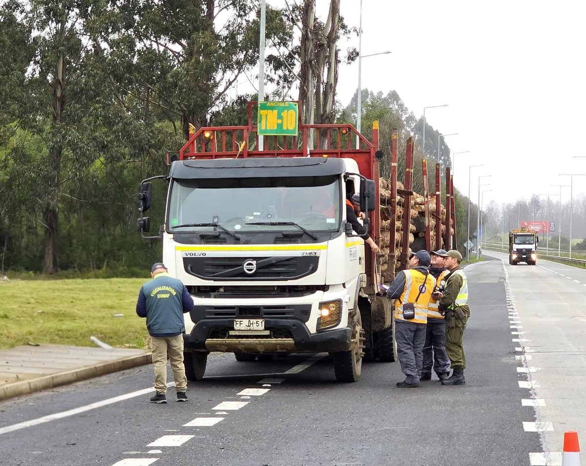 CarabLosRios's tweet photo. ✅️ Controles al transporte de madera y ganado realizaron Carabineros de la Patrulla de Intervención Rural Forestal #Valdiviacl en la #Ruta5Sur, comuna de #Lanco.
✔️ Fiscalizaciones se realizaron junto a @sagchile @MTTLosRios y @conaf_minagri . https://t.co/TWkjG9P8p9