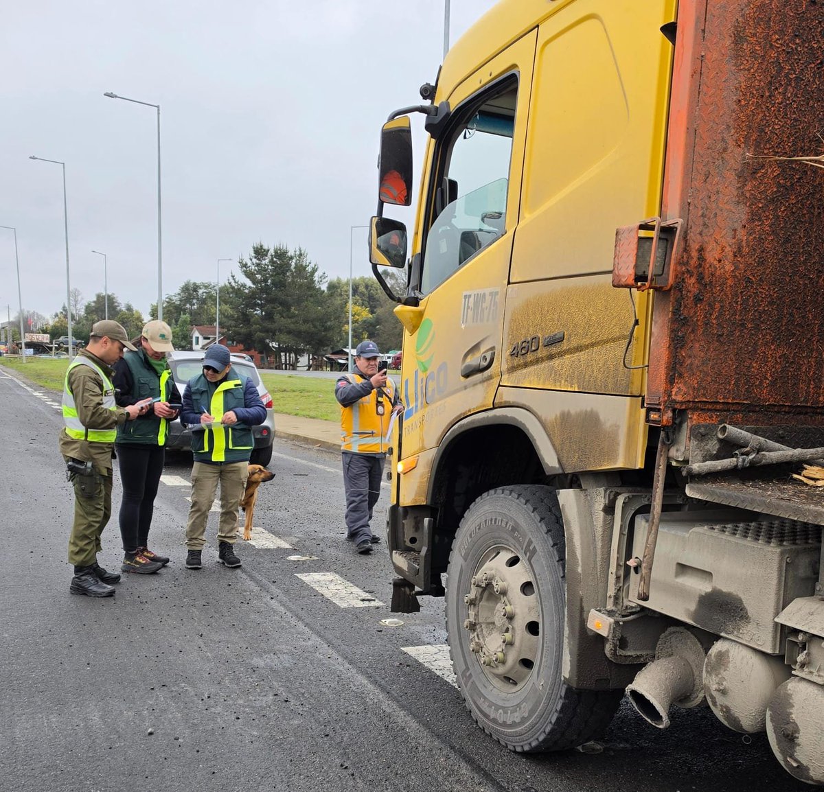 CarabLosRios's tweet photo. ✅️ Controles al transporte de madera y ganado realizaron Carabineros de la Patrulla de Intervención Rural Forestal #Valdiviacl en la #Ruta5Sur, comuna de #Lanco.
✔️ Fiscalizaciones se realizaron junto a @sagchile @MTTLosRios y @conaf_minagri . https://t.co/TWkjG9P8p9