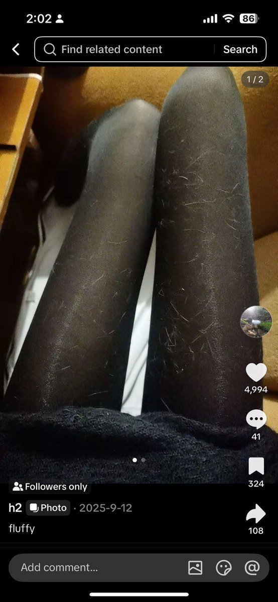 pawportion's tweet photo. this gir on tiktok https://t.co/WwL5ykNxdZ
