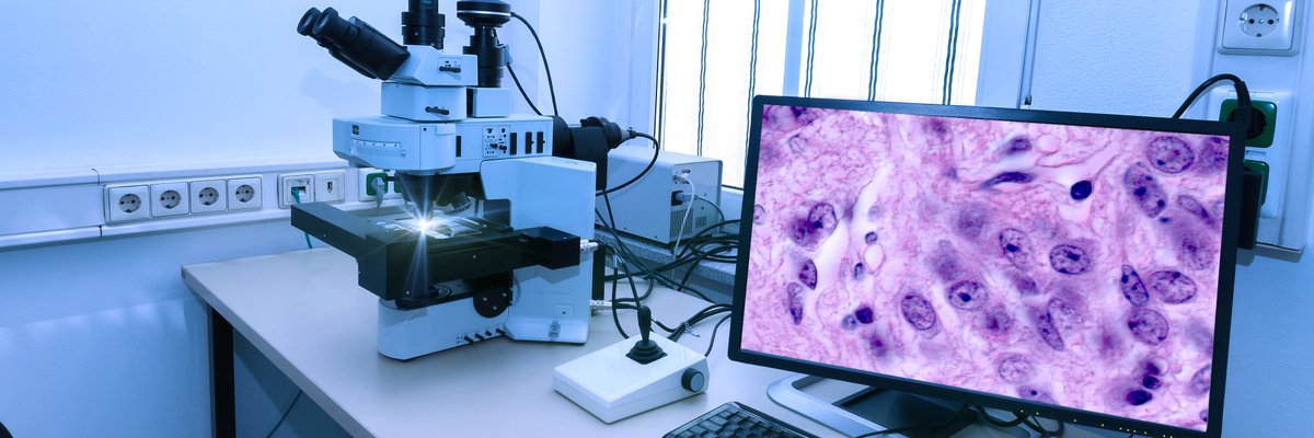 BigDATAwireNews's tweet photo. Nobel Laureate David Baker Takes Aim at the Virtual Cell with GenBio AI
Read here: https://t.co/hFkgfFEotW
#NobelLaureate #DavidBaker #VirtualCell #GenBioAI #Biotechnology #MolecularBiology #LifeSciences #ScientificResearch #AIinBiology #BiomedicalInnovation https://t.co/4KYnzxyRka