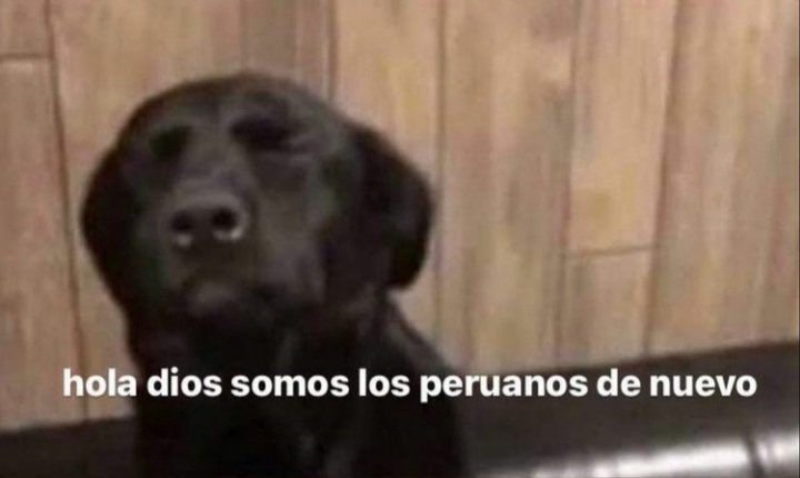 hobibifresita's tweet photo. Pónganse serios como q otra vez😭😭 #Temblor https://t.co/h16fyn4xRC