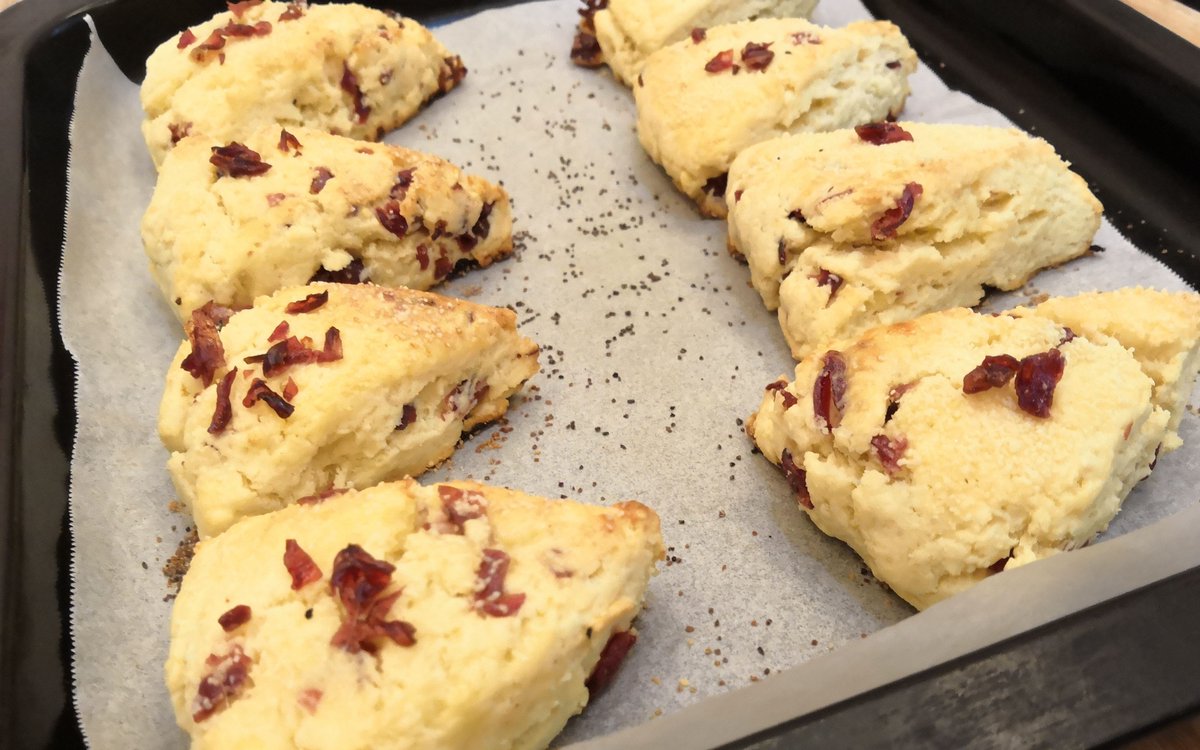 Rlcd10's tweet photo. Just pulled the flakiest lemon blueberry scones out of the oven! Bursting with fresh berry sweetness and zesty lemon, perfect with my morning coffee https://t.co/ZBFJO4cLfR