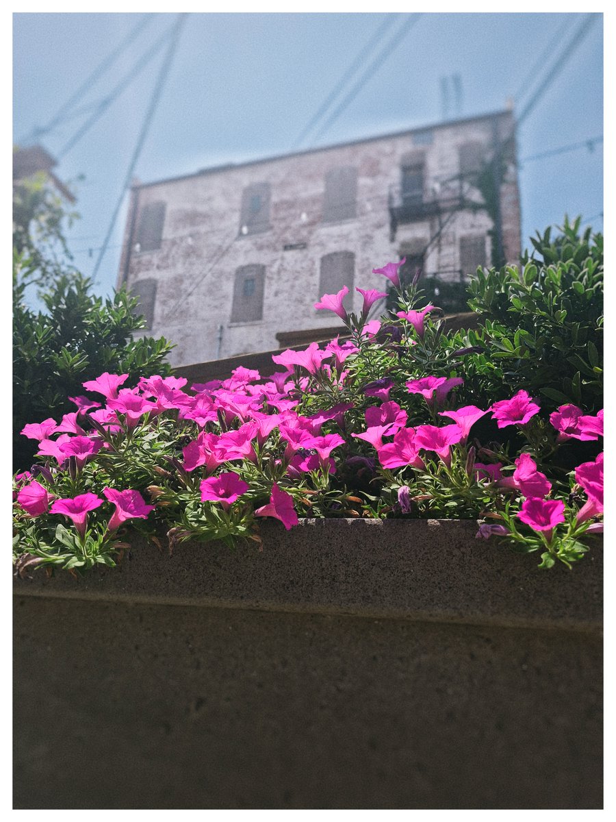 Idle_pht's tweet photo. #photography #urban
#nostalgic #city #nature https://t.co/mLT8QuKyCd