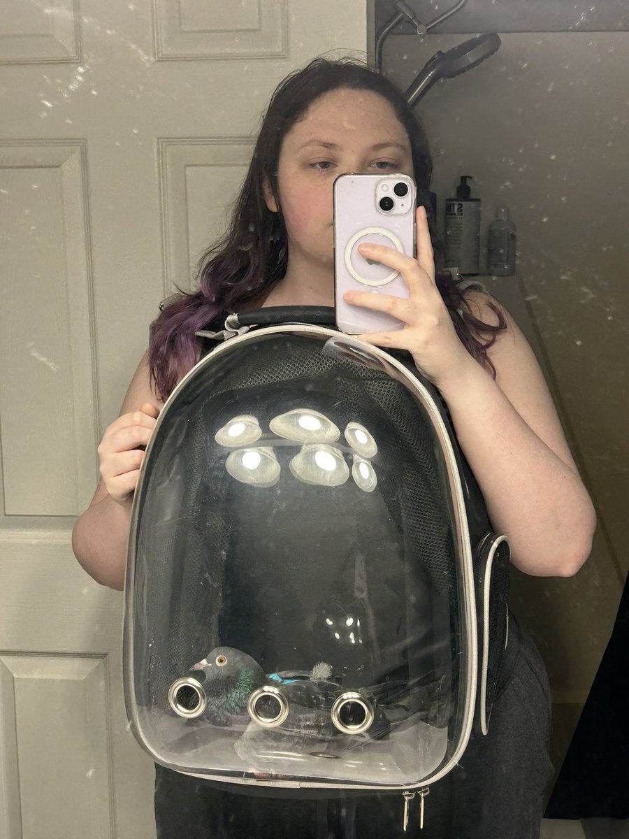 grapebats tweet picture
