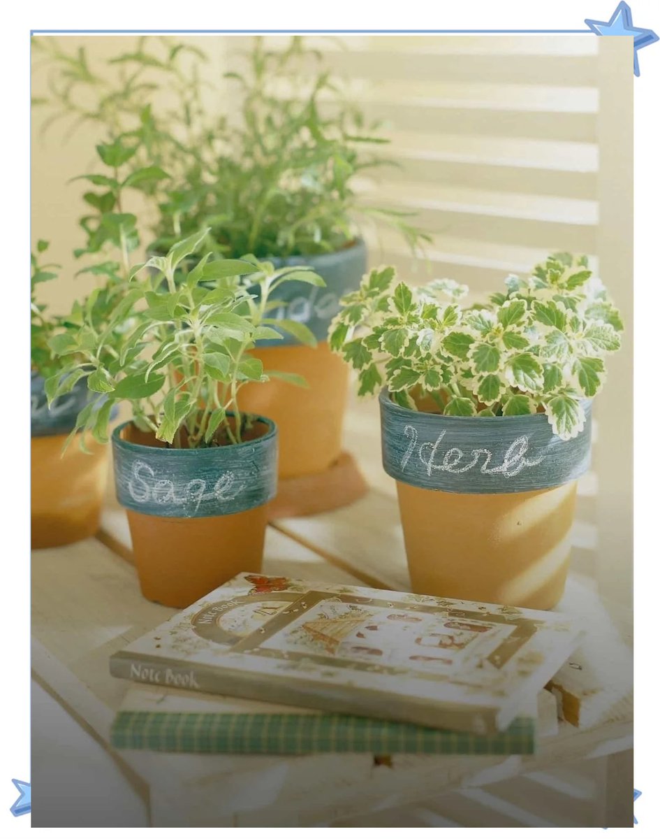 BeerBear63's tweet photo. Just upcycled an old mason jar into a perfect herb planter! No fancy tools needed – just paint, twine, and a little creativity. My windowsill just got way greener https://t.co/lAIgymiQuL