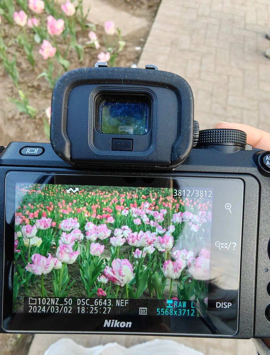 7UjPzWxtt6A0e6u's tweet photo. Starting with photography Master these 3 basic rules: rule of thirds, natural light, and keep it simple. Start small, shoot daily! https://t.co/k7iZTsTHPg