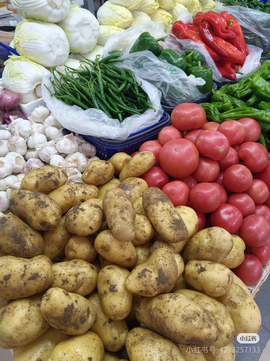 VRanjith3024's tweet photo. Fresh organic veggies just hit our local market! Crisp spinach, juicy tomatoes, and sweet bell peppers at unbeatable prices — perfect for tonight’s healthy dinner. Stock up before they sell out! https://t.co/2Oe4IOszww