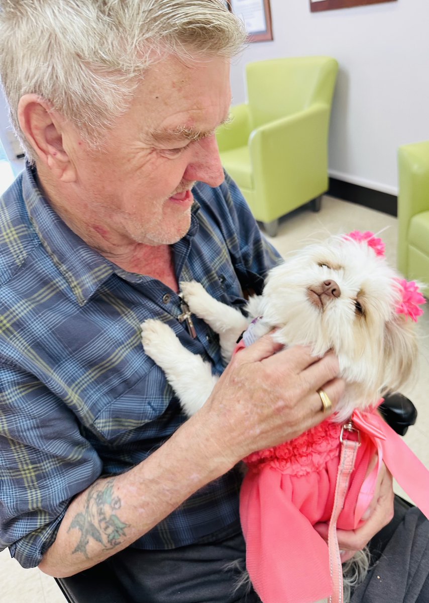 MeaningfulCareM's tweet photo. When team members bring their dogs to @ElliottGuelph residents get cuddles! Bella, a PSW's pup, shines in pink! #Guelph #Ontario #prettyinpink #InternationalDogDay https://t.co/qoSVTxb0oI
