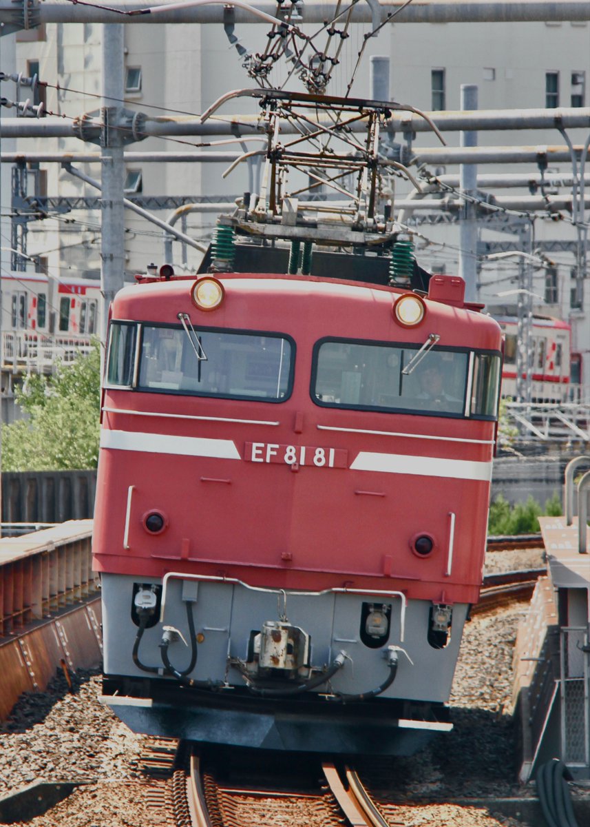 rokuyontami's tweet photo. 2025.08.21 
試単9537レ〜試単9538レ EF81 81 
ラスト神立試単が施行されてから早一年、東日本に残った釜を追いかけ回した去年の夏休みです。 https://t.co/4r64NGFhZ7