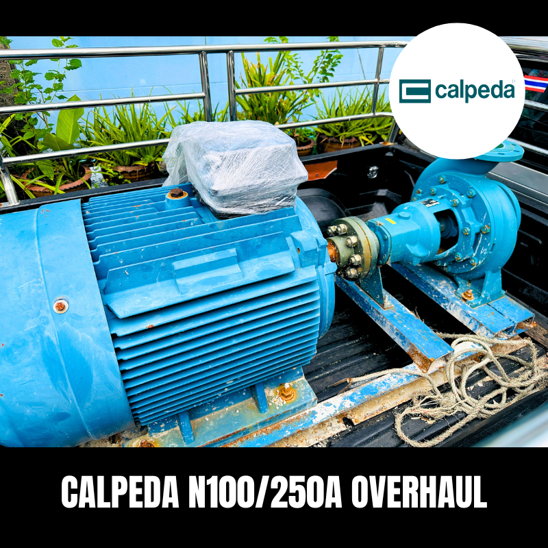bestpump_BPT's tweet photo. งานซ่อมปั๊มนํ้า CALPEDA ปรับฐานใหม่ ตั้งศูนย์ใหม่ เตรียมส่งกลับให้กับทางลูกค้า สนใจสินค้าตัวไหน สอบถามเข้ามาได้เลยครับ!! #ซื้อปั๊มนํ้าออนไลน์ง่ายนิดเดียว

#CALPEDA #ปั๊มหอยโข่ง #ปั๊มนํ้า #bestpump_thailand
#ปั๊มนํ้าคาลปีด้า #ตัวแทนจำหน่ายคาลปีด้า #หจก_ย่งฮั่วเฮงอิมปอร์ต #ซื้อปั๊ม https://t.co/xeoEwp6HMt