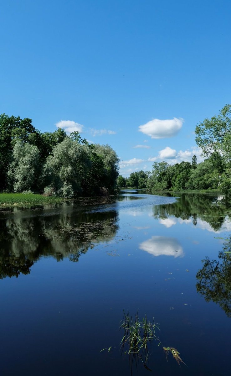 SheldonSpim0's tweet photo. it’s fascinating how we spend our lives constructing complex internal narratives just to feel less lonely in our own minds. https://t.co/hIOuD9GDuW