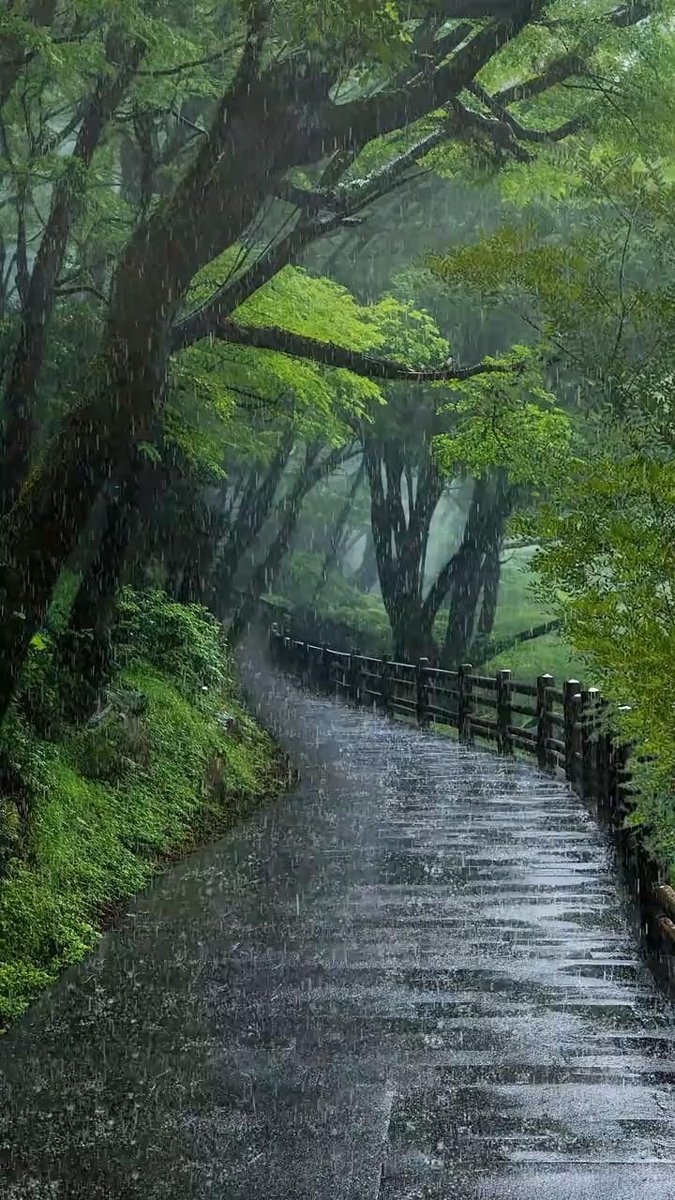 coccipatri1v's tweet photo. ركز على هذا: كانت 🌠 أمسية باردة من أمسيات عيد الميلاد، وكنت أتجول بين رفوف الكتب، أعيد ترتيب العديد من العناوين التي أعادها رواد 🌲 المكتبة. لقد عملنا لساعات إضافية في مكتبتنا هنا، لأن المسؤولين قلصوا عدد الموظفين هذا العام. meyer dalton https://t.co/5UZZyf4xKP