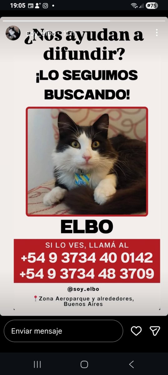 Chuleta2014's tweet photo. @laurasa321368 Siempre lo mismo Aerolíneas Argentina aqui otro caso y todavía esta perdido https://t.co/qDVFkVE7LM