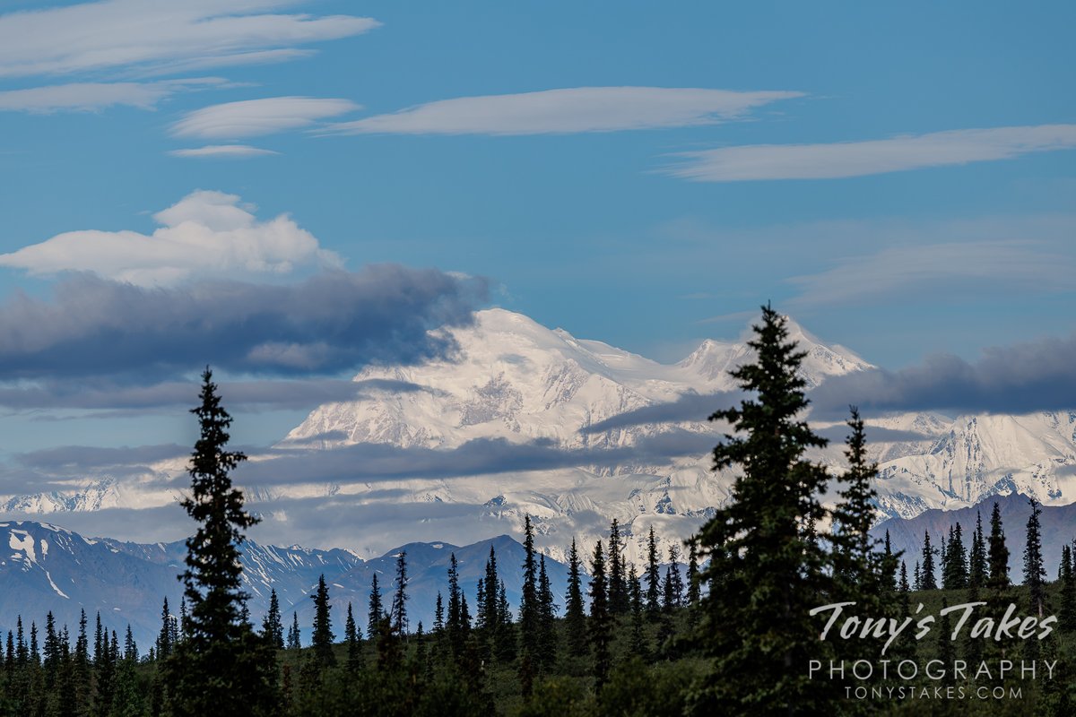 TonysTakes's tweet photo. Denali from the road. At 20,130 feet high, Denali absolutely towers over the surrounding terrain, something that is hard to appreciate. These pictures were taken about 40 miles away &amp; she was dominating the horizon.

#denali #mountmckinley #Alaska #landscape #landscapephotography https://t.co/aJNQ7s5Hcf