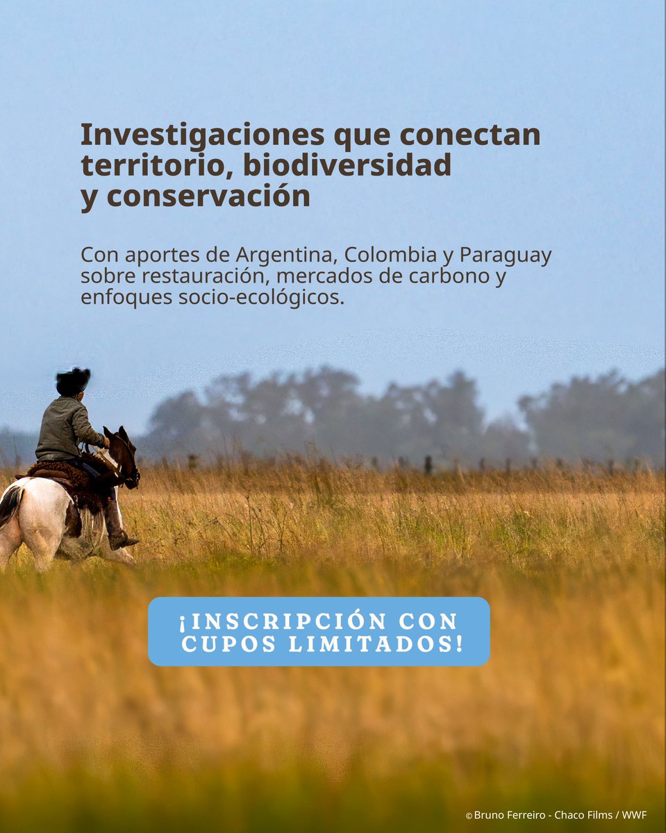 WWFpy's tweet photo. Un espacio para compartir avances sobre conservación, restauración, mercados de carbono y enfoques socio-ecológicos.

🗓️ 28 de agosto | 🕘 09:30 a 11:30 h. (Hora de Paraguay).
💻 Modalidad virtual.
🔗 Cupos limitados. Inscribite acá: https://t.co/QlSeWhlBJg (link en la bio) https://t.co/rYJhugcEGt