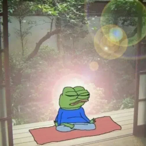 PatienceCoinRH's tweet photo. Unbothered. Not in a rush. Multiplying. Compounding. https://t.co/LHLEVQEqAk