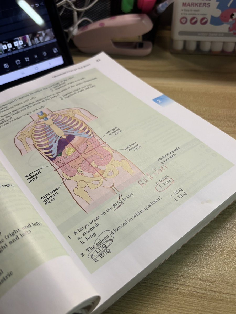 _Drneney's tweet photo. Sometimes I want just to study I don’t know why but I really love studying all the time🤓💕 https://t.co/kQf5F3O8XY