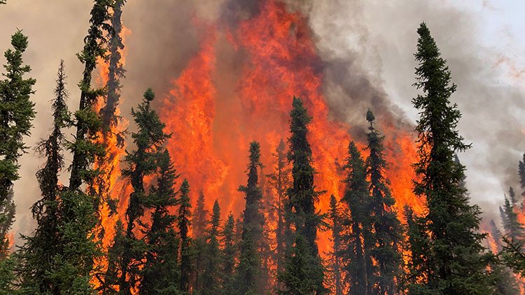 MadelnCanada's tweet photo. #NEW: Alberta has recorded no active wildfires in August for the 1st time in 40 years. https://t.co/hxmYRFcq9q