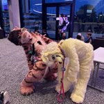 Photo by doggy @ FBL/MFF (@prettydogboy)
