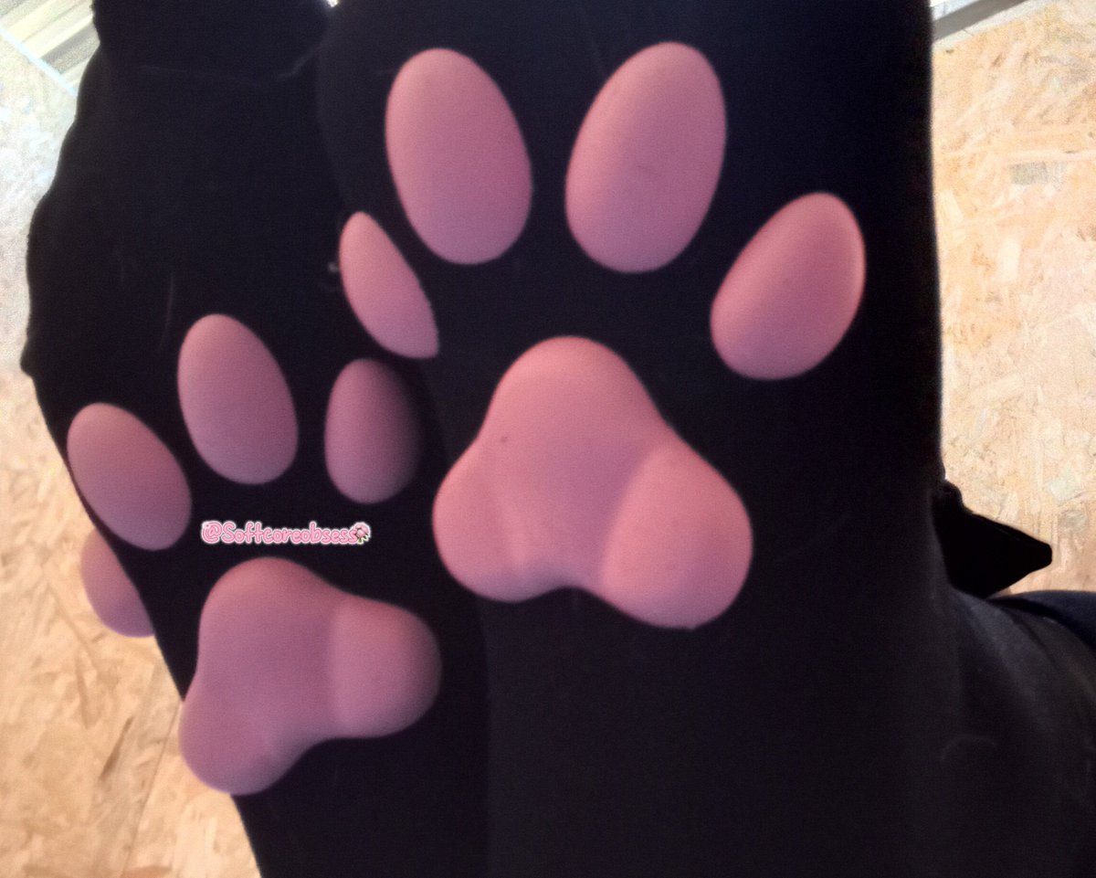 Softcoreobsess's tweet photo. ︶⊹︶︶⠀୨୧⠀︶︶⊹︶
 ۫   𐑺   ˑ  ⌕Chubby girl ࣭   ᘐ 

Meow~~ meow~~

#nsfwtwt #nsfw #petplay #catgirl #cat #chubbygirl #bdsm #submissive

◞    ꜝꜞ 🐾🩷  ˳  𓏲  ˑ 
︶⊹︶︶⠀୨୧⠀︶︶⊹︶ https://t.co/5DFjm8U2k7