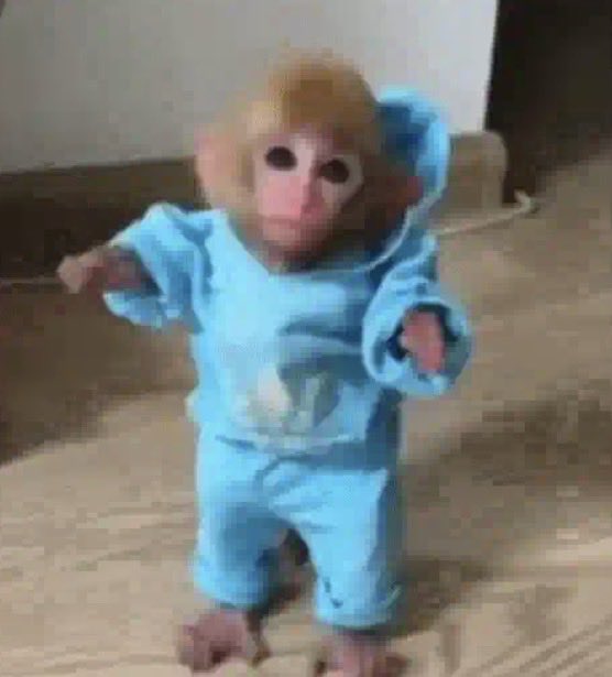 i1692n's tweet photo. @1l5ll6 يمكن عشان الجامعه منزله الجدول من دهر 

بس غالبا اغيب إن شاء الله اول يوم بعدها لو فيه محاضرات وبعد الطلبيه ما وصلت https://t.co/XmMzZeyN95