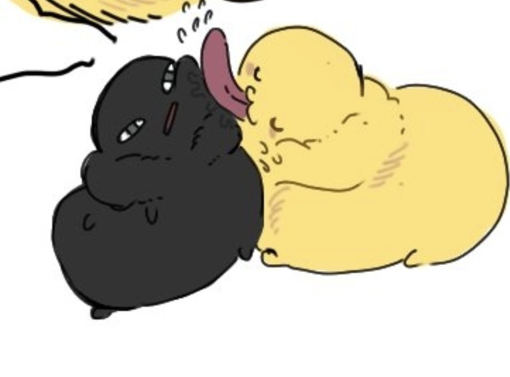 cookie_va6606's tweet photo. @computer_art003 FLUFFY BABIES!! https://t.co/CJT3owjB14