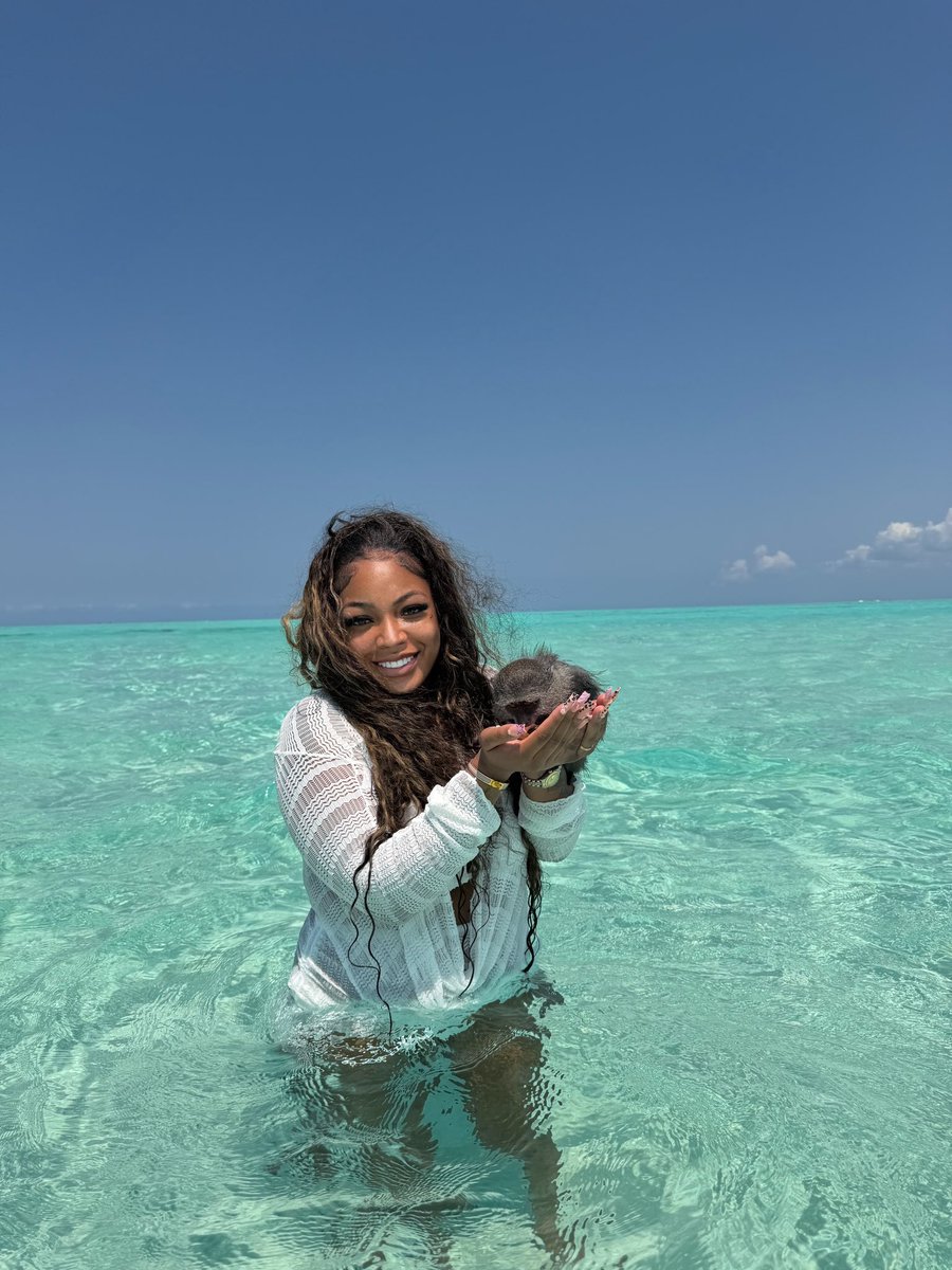 youpayrosa's tweet photo. I want a monkey omg someone buy me one https://t.co/PAvVsYRSAZ