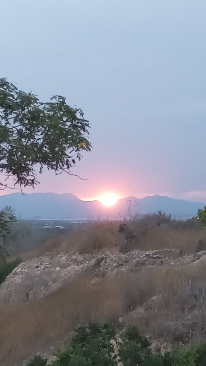 cpuertastics's tweet photo. Buenas noches! https://t.co/F5xjUJtXw9
